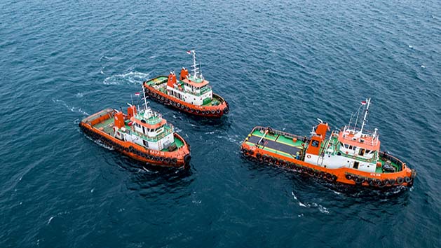 Inland and Coastal Image